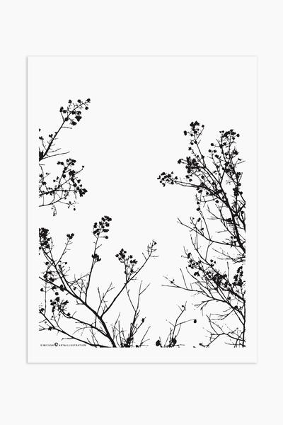 branches_silhouette_unframed_s_micush_grande