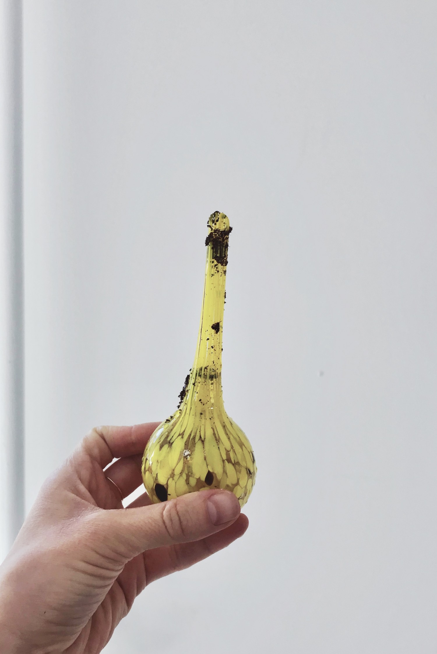 fullsizeoutput_921